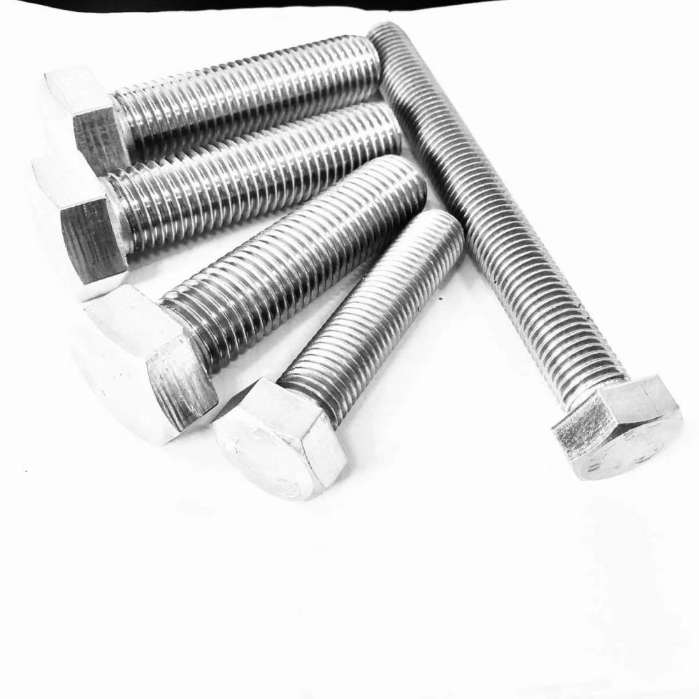 Plain Hex Bolt