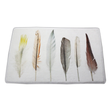 Washable colourful feather design doormat