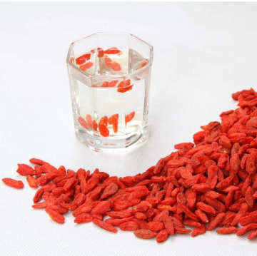 Dry Red Goji Berry Traditional Healthy Fruit