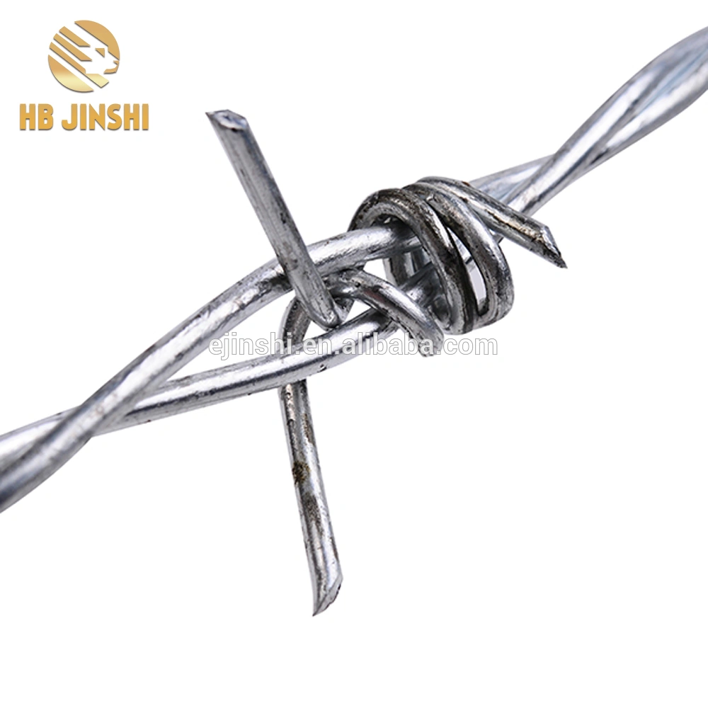 Double Twist Galvanized Barbed Wire Made in China