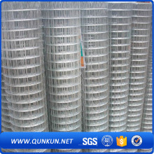 New product galvanized welded wire mesh