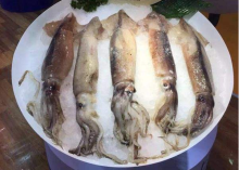 Whole Round Argentine Squid