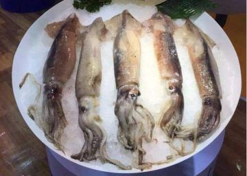 Whole Round Argentine Squid