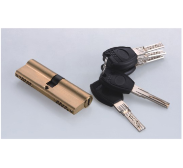 Door lock cylinder with key