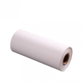 Corrosion Resistance PVDF Film