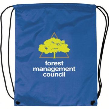 New recycle polyester bag or nylon drawstring backpack