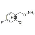 O- (2-Chlor-4-fluorbenzyl) hydroxylaMine hydrochloride CAS 317821-68-4