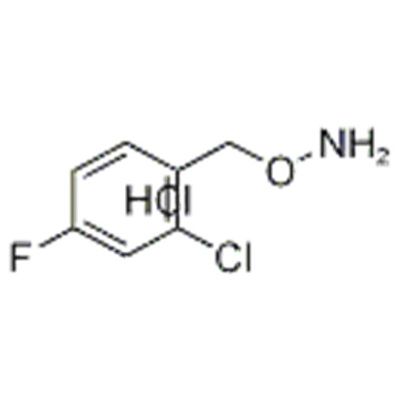 Clorhidrato de O- (2-cloro-4-fluorobencil) hidroxilamina CAS 317821-68-4