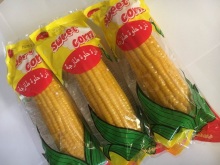 Corn to Iraq market