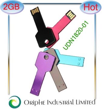 2GB key chain USB drive , USB flash,pendrive