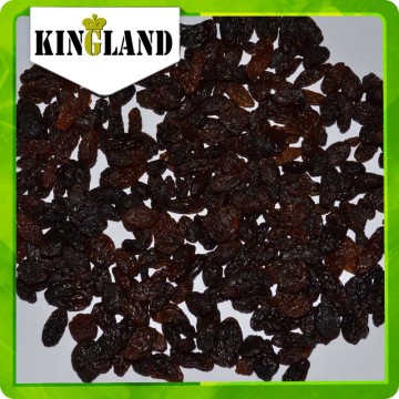 Dried fruit red raisin sultana supplier