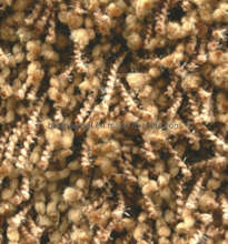 Showroom Shaggy Rug (ZAR-004)