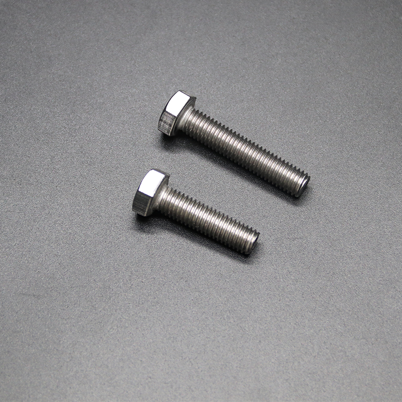 عالي الجودة SS304 Hex Bolt Risco