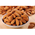 Almond Pahit Berkualitas Tinggi