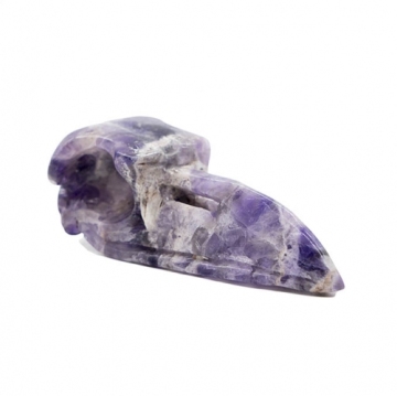 Raven Skulls 2020 1019