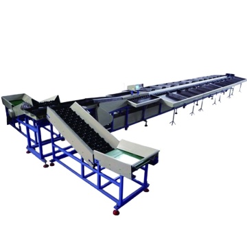 Tomato Avocado Orange Apple Weight Sorting and Grading Machine