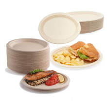 Customized Green Disposable Tableware Lunch Food