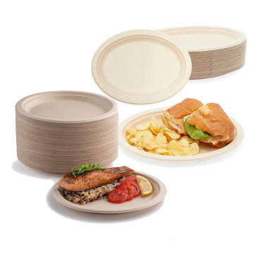 Customized Green Disposable Tableware Lunch Food