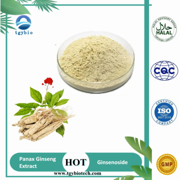 Panax Ginseng Root Extract/ Ginseng Extract 80% Ginsenosides