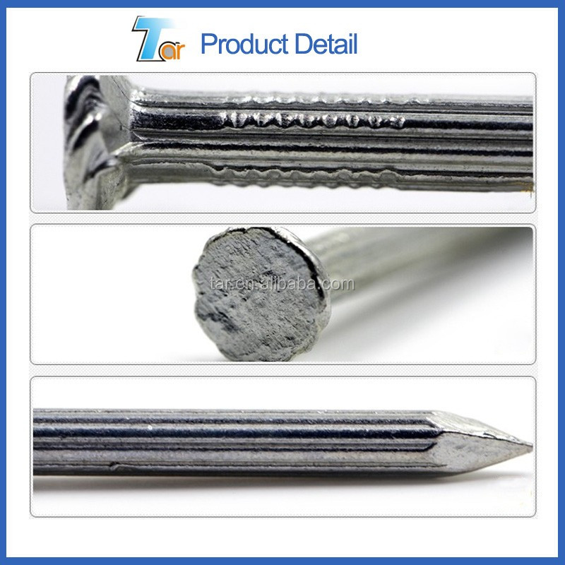 the best manufacturer in china hardened steel concrete nails