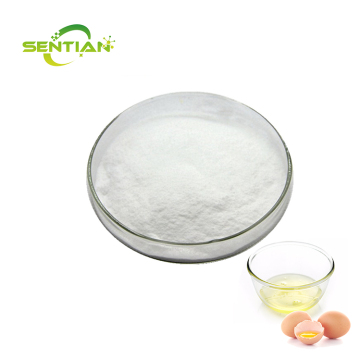 Food Grade Best Selling Enzyme Lysozyme Powder