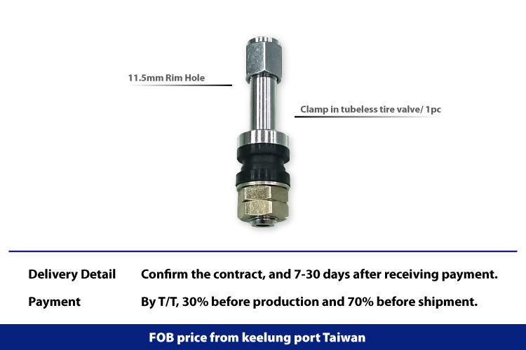 TR48E, Clamp in Tubeless Tire Valve