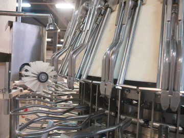 Full automatic chicken eviscerator