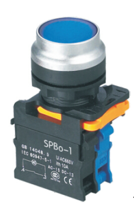 SAIP/SAIPWELL Extended Button with Light Self-locking Push Button Switch