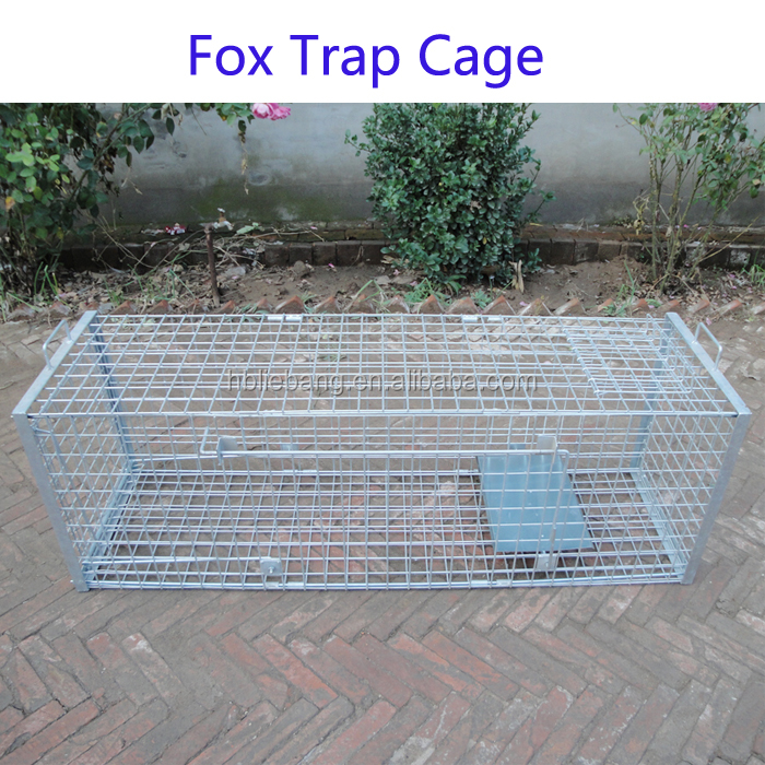 Venta caliente Catch Live Liebang Heavy Duty 60x18x2020 pulgadas Fox Wild Boar Trap a la venta