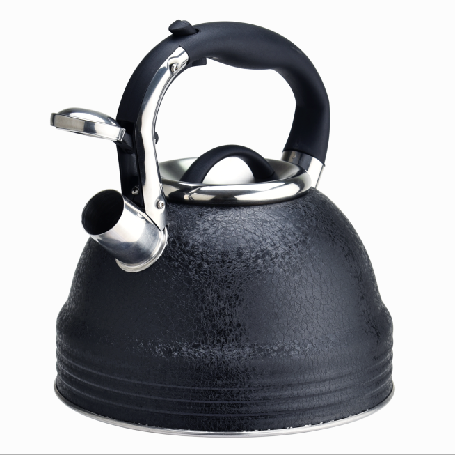 Whistle Tea Kettle with Ice Coating