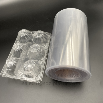 Caixa de recipiente de bandeja de ovos de estimação transparente