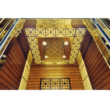 High Speed Passenger Elevator