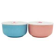 Ceramic Bowl with Lid - Custom Logo Relief Craft Embossed Microwave Food Storage