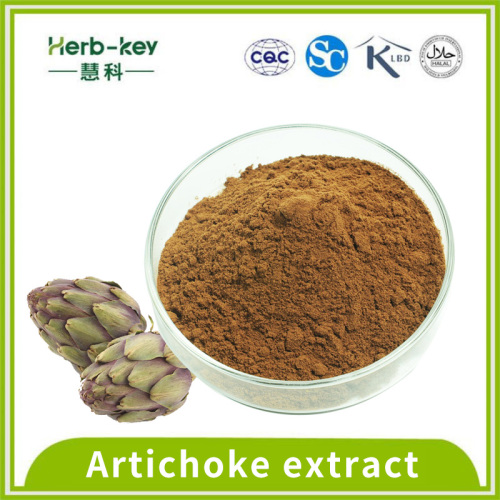 Artichoke extract contains 5% Cynarin