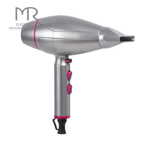 Ionic Hair Dryer with Smart NTC temperature control