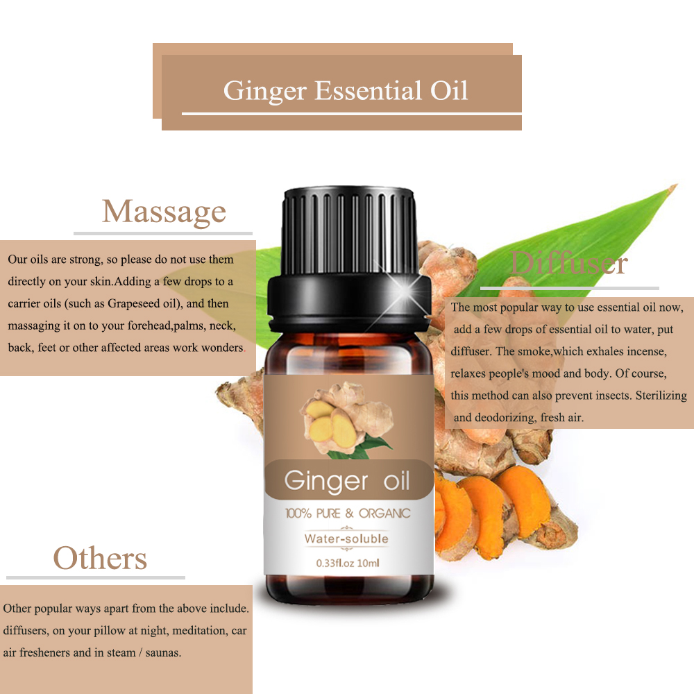 Ginger Hurtowa hurtowa aromaterapia zapachowa olejek eteryczny