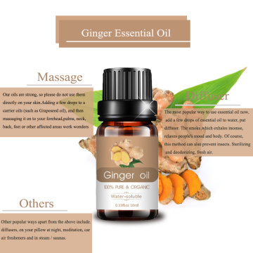 Aceite esencial de fragancia de aromaterapia a granel de Ginger a granel