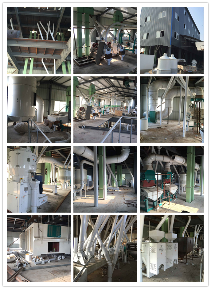 Wheat Flour Production Line