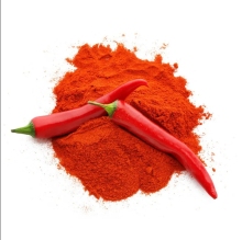 Hot Sale Paprika Seed Powder Red Chilli Powder