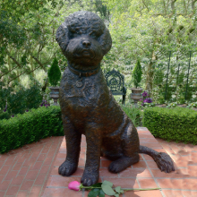 Outdoor garden or home decorative life size bronze toy poodle sculpture teddy dog statue