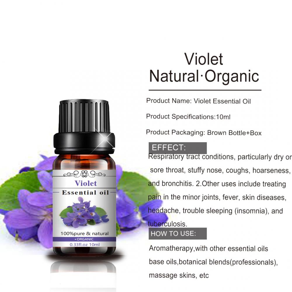 Pure Violet Essential Oil Perfume Extracto esencial orgánico