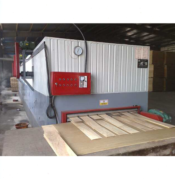 Woodworking Veneer Dryer Machine: One Layer Roller Drier