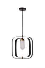 Morden LED Pendent Interior lighting decor