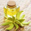 Cananga ylang ylang برای آروماتراپی