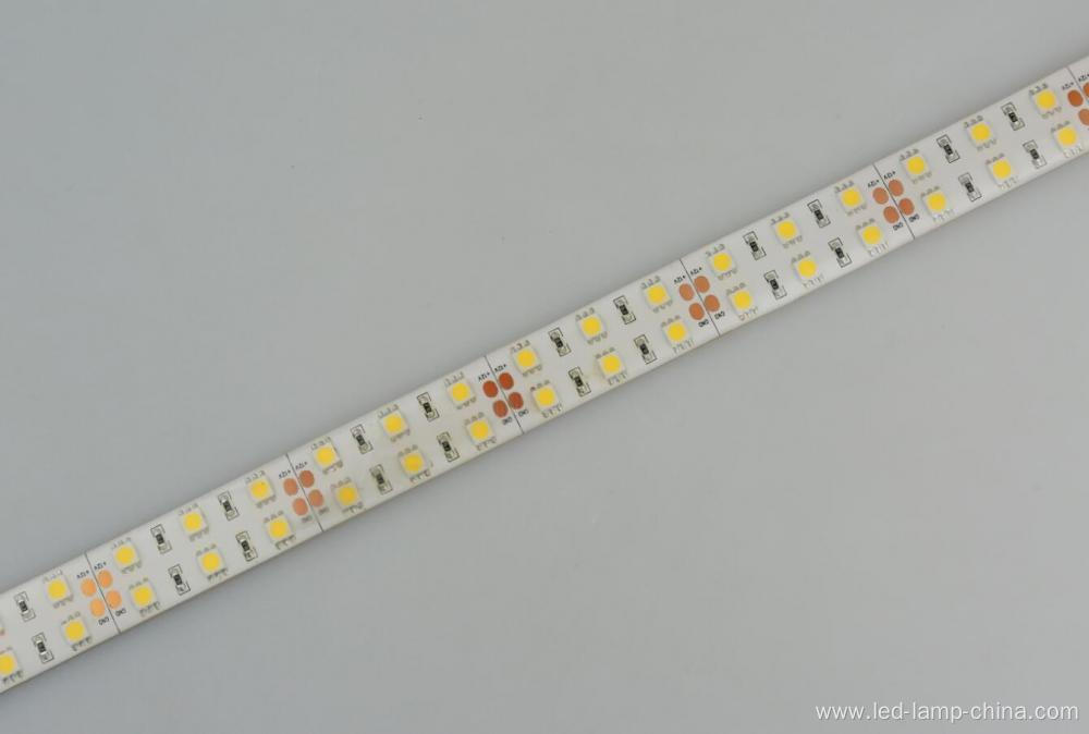 DC24V 600D 100W per roll SMD 5050 LED STRIP