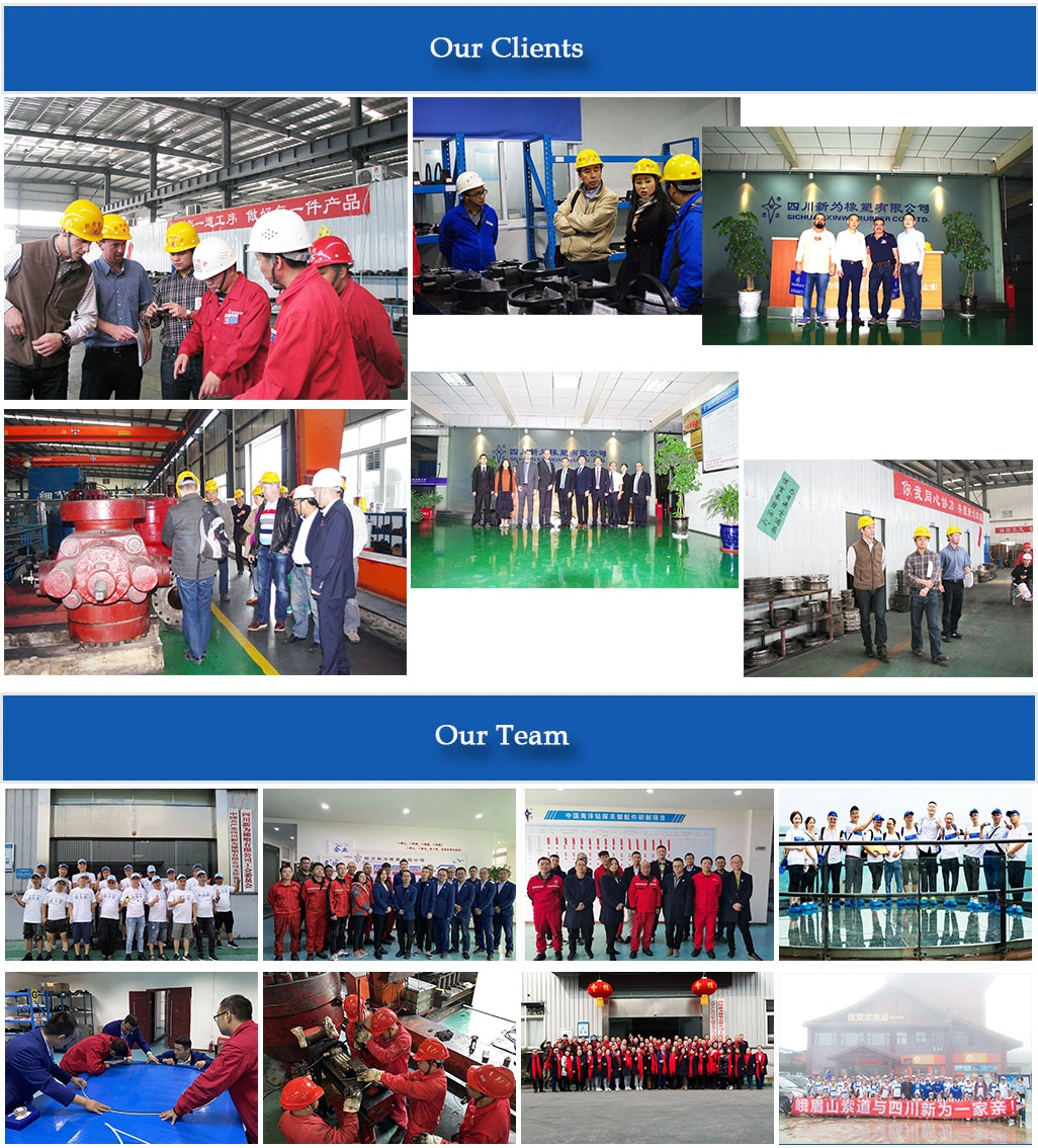Customized VBR RAM Packer RAM Bop Rubber Seal Rubber Spare Parts Packers Seals