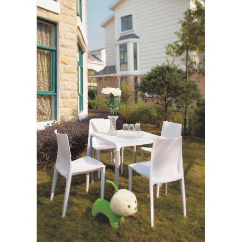 Modern Plastic Dinning Leisure Chair