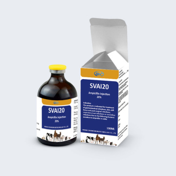 Veterinary injection antibiotics Ampicillin Injection 100ml