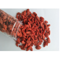 Ningxia New Harvest Hot sale Chinese goji berry