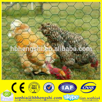 chicken coop hexagonal wire mesh fence